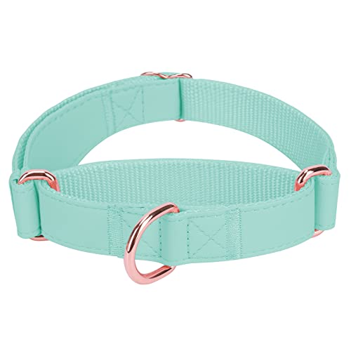Collar de cuero suave de Martingala para perro, collar ajustable de oro rosa limitado, collar de estrangulamiento de perro [fácil de limpiar], M, verde