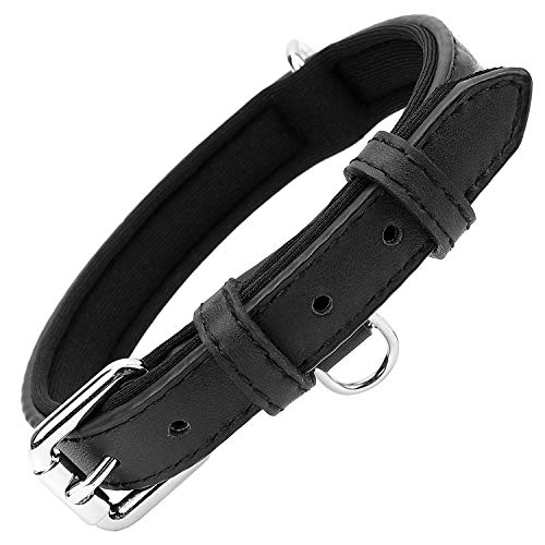 Grand Line Collar de Perro de Cuero, Collare Ancho y Grueso con Suave Acolchado，Collare de Perro en Piel Ajustables Resistentes para Perros Pequeños, Medianos, Grandes (Negro, L)