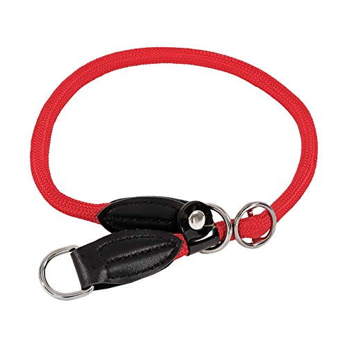lionto Collar de perros collar retriever collar de adiestramiento, 30 cm, Rojo