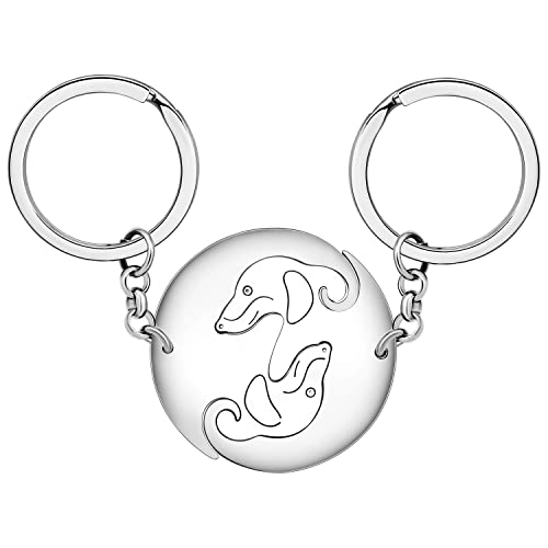 LONYOO Parejas perro llavero acero inoxidable Pug Dachshund regalos para mujeres niñas coche llave bolso joyería, Perro salchicha plateado, M
