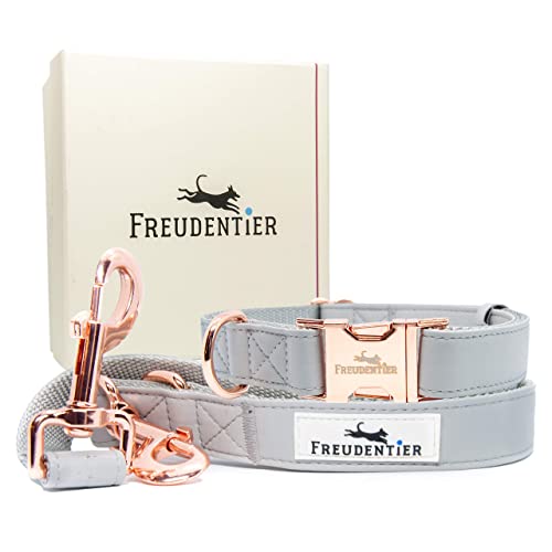 FREUDENTIER® Correa y Collar para Perros en Elegante Set | Incluye Caja de Regalo | Colección Hyde Park | Resistente al Invierno y fácil de Limpiar (41-63 cm)