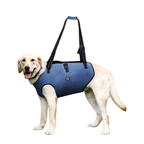 Coodeo Arnés de Elevación para Perros, Soporte para Mascotas Y Cabestrillo de Rehabilitación Correas Transpirables Acolchadas Ajustables para Personas Mayores Lesiones en Las Articulaciones(Azul, 2XL)
