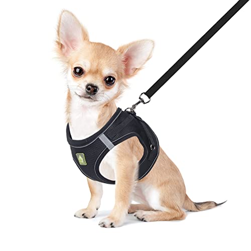 FEimaX Arnés para Perro y Conjunto de Correa, Acolchado con Malla Suave, Chaleco para Cachorros Reflectante y Ajustable para Perros y Gatos Pequeños