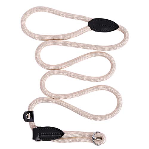 lionto Correa Retriever Correa de Perro Correa de Entrenamiento, Longitud 170 cm Beige