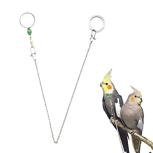 Collar de Cuello de Loro,Cadena para el Cuello de Entrenamiento de Loros de Acero Inoxidable | Cadena de Cuello de diseño de Hebilla de Seguridad Ajustable para Evitar Que el Loro se pierda Idezek