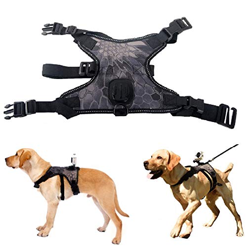 Arnés para perro para cámaras GoPro, con soporte trasero para cámara desde la perspectiva del perro para perros medianos y grandes para viajes al aire libre, L