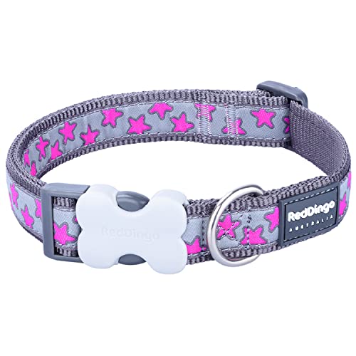 Red Dingo Bucklebone - Collar para Perro, diseño de Estrellas Rosas en Gris, tamaño Mediano, 20 mm