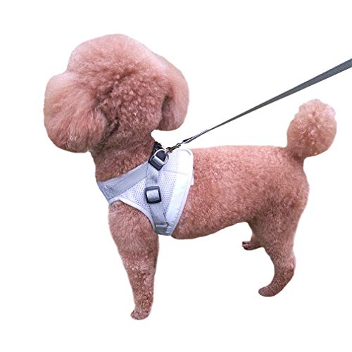 QiCheng&LYS Chaleco de Viaje Regular de Malla Transpirable con Cinturón de Seguridad para Perros y Gatos Chaleco de Seguridad para Mascotas (Gris, XL)