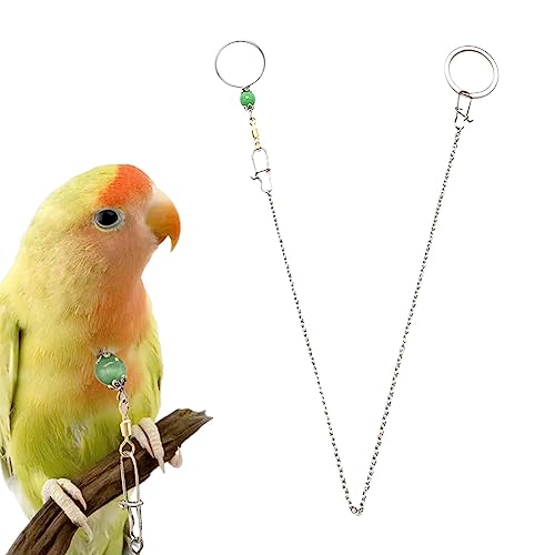 Collar de Cuello de Loro | Collar de Cuello de pájaro Inoxidable | Cadena de Cuello de diseño de Hebilla de Seguridad Ajustable para Evitar Que el Loro se pierda Rurbeder