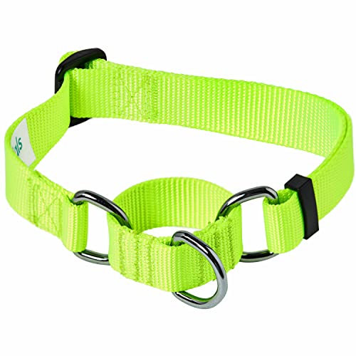 Blueberry Pet Essentials - Collar para perro Martingale para entrenamiento de seguridad, color amarillo, pequeño, resistente, nailon ajustable para perros y niñas