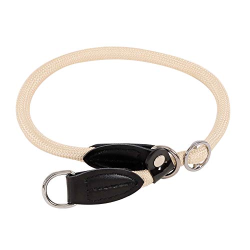 lionto Collar de Perros Collar Retriever Collar de adiestramiento, Longitud 45 cm Beige