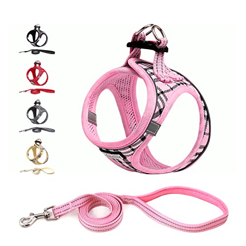 Suredoo Arnés para Perro Pequeños con Correa, Arnés Antitirones Reflectante Cómodo Transpirable Arneses Chaleco para Perros Pequeños Gatos, Cachorros (XXS, Rosa)