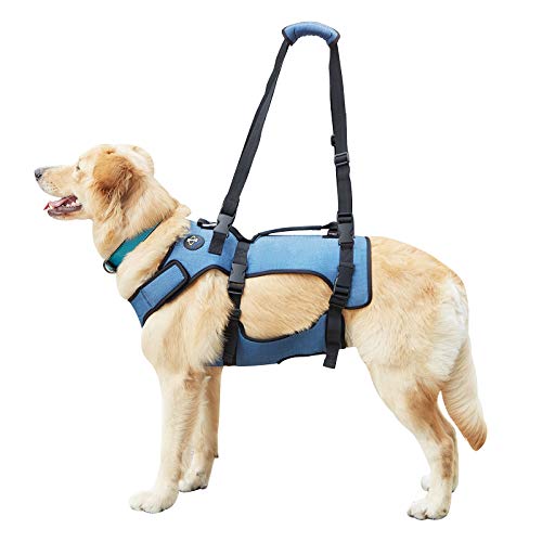 Coodeo Arnés de Elevación para Perros, Eslinga de Soporte Y Recuperación, Chaleco de Rehabilitación para Mascotas, Correas Transpirables Ajustables para Personas Mayores, Discapacitadas (Grande)