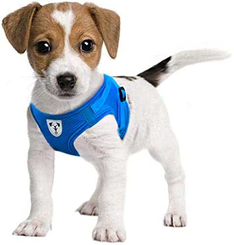 Pet's Playground Arnés para Perro pequeño | Arnés para Perro pequeño | Arnés para Perro sin tirones | Arnés para Perros | Arnés para Perro Mediano | Arnés para Perros pequeños | Azul | Grande