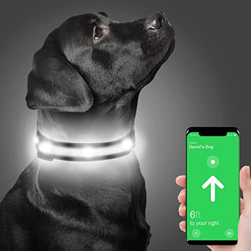 Dynmeow Collar Luminoso Perro,Airtag USB Recargable y Impermeable Collar Luz Perro, Impermeable LED Collares para Perros Pequeños, Negro