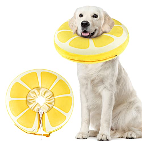SuplutuX Collar isabelino Inflable, Collar isabelino Perros y Gatos, collarin Perros para no rascarse después de la cirugía para Curar heridas y Evitar mordeduras (L)