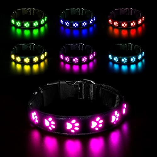 AUAUY Collar Luminoso Perro, Collar Luminoso Impermeable Recargable por USB, Ajustable Collar LED Perro para Perros Pequeños Medianos Grandes Que Caminan de Noche con Seguridad (Colorido-S)