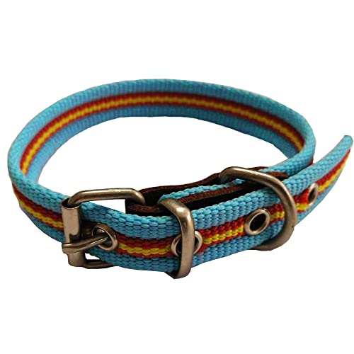 Collar de Perro Bandera de España de algodón Azul Claro 40 cms | Collar Liso para Perro Mediano | Collar de algodón. Resistente a tirones y climatología. Collar Azul Claro Rojo y Amarillo.