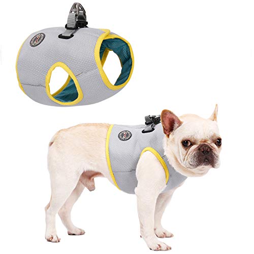 Tineer Pet Refrescante Arnés Malla de Verano Perro para Caminar Chaleco Fresco Arnés Ajustable para Perros pequeños/medianos/Grandes Correr Dentro o al Aire Libre, Caminar, Escalar montañas (XL)