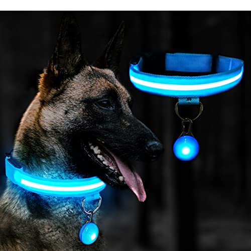 Kriogor Collar Luminoso Perro Recargable, 3 Modos LED Collar Luminoso Perro con Ajustable y Impermeable, Collar Perro Luminoso para Perros Pequeños/Medianos/Grandes(S, Azul)