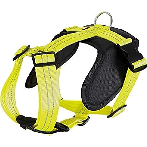 Arppe 196244060185 Arnés Nylon Go Pro Reflectante