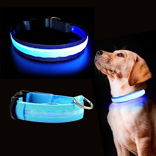 Collar con Luz Led para Perro - Recargable por USB - Collar Perro para Noche - Reflectante - con Anilla Metálica - Azul, M