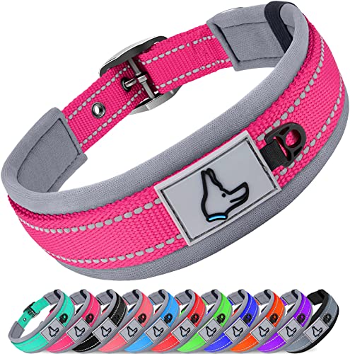 Joytale Collar Perro, Collar Acolchado de Neopreno Nylon Reflectante para Perro Pequeño, Medianos, Grandes, Collar para Perros Resistente Ajustable, Fucsia, S