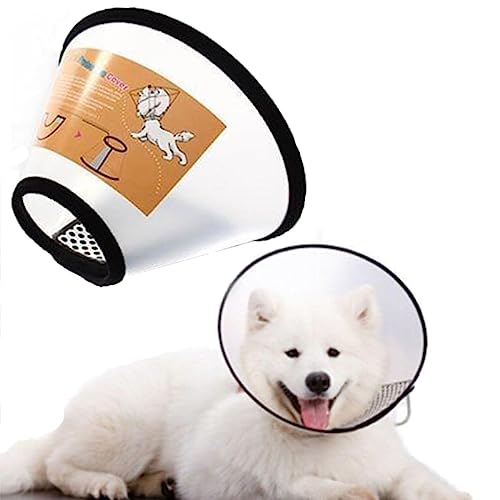 JIAMIAN Collar Isabelino Protector, Ajustable Cono Mascotas Protector Heridas Anti-Mordida Anti-Lamido Curación, Collar Plástico Perros Gato Perros Grandes (Circunferencia del Cuello: 35-40 cm)