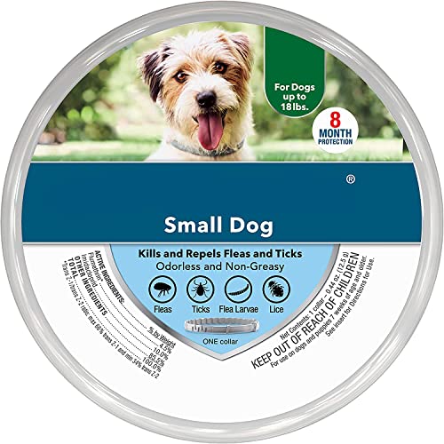 Collar para Perro SERESTO 8 Meses para Perros pequeños Menores de 8 kg, 38 cm