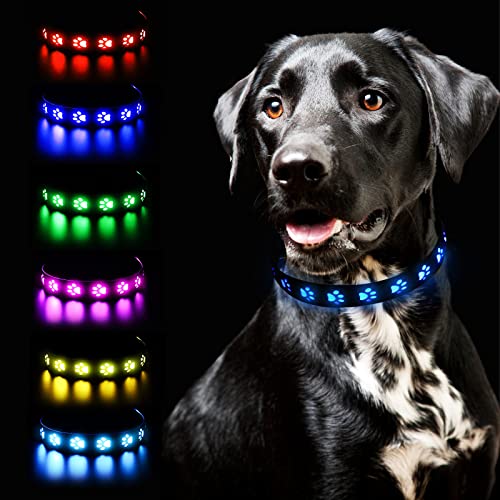 FORMIZON Collares Luminosos para Perros, USB Recargable Collar Perro 7 Modos, Impermeable Ajustable Collar LED para Perros Pequeños Medianos Y Grandes, Collar de Seguridad Nocturno para Perros (M)