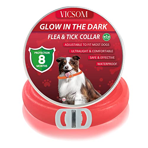 Collares Antiparasitario para Perros, Luminoso Collar Antipulgas Perros, Collar de Pulgas y Garrapatas para Perro Impermeable Regulable, Válido 8 Meses para Perros de Todos los Tamaños 1Pcs Rojo