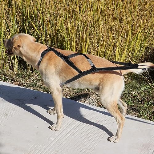 YUEHAN Arnes Perro Arnés De Trineo para Perros Arnés De Tracción De Peso para Mascotas Mushing X Arnés De Espalda para Perros Grandes Entrenamiento Ejercicio De Trabajo Skijoring Scootering
